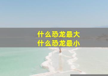 什么恐龙最大什么恐龙最小