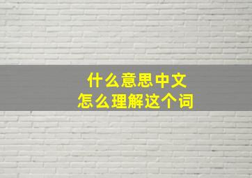 什么意思中文怎么理解这个词