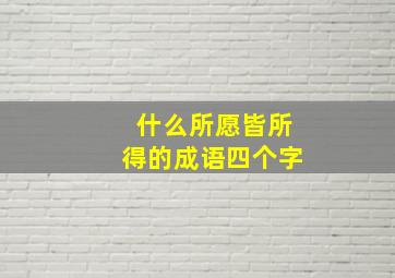 什么所愿皆所得的成语四个字