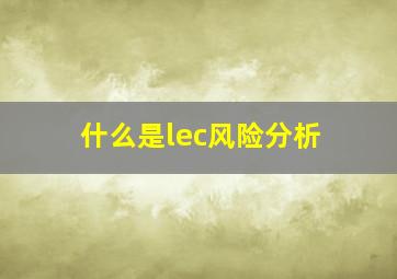 什么是lec风险分析