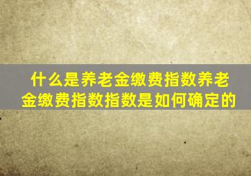 什么是养老金缴费指数养老金缴费指数指数是如何确定的