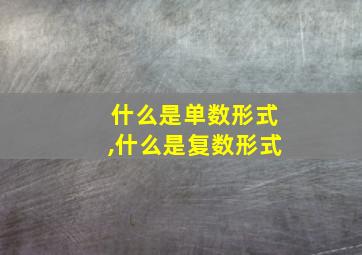 什么是单数形式,什么是复数形式