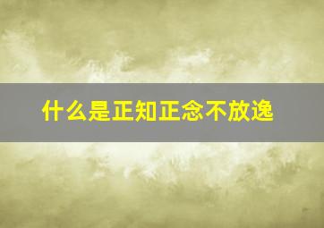 什么是正知正念不放逸