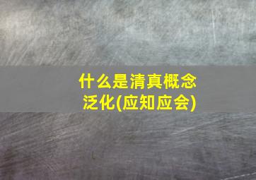 什么是清真概念泛化(应知应会)