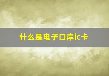 什么是电子口岸ic卡