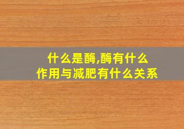 什么是酶,酶有什么作用与减肥有什么关系