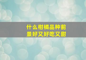 什么柑橘品种前景好又好吃又甜