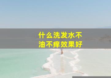 什么洗发水不油不痒效果好