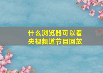 什么浏览器可以看央视频道节目回放