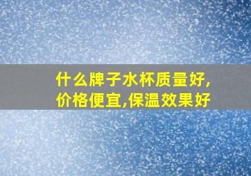 什么牌子水杯质量好,价格便宜,保温效果好