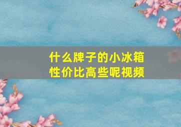 什么牌子的小冰箱性价比高些呢视频