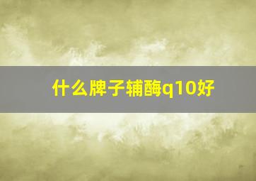 什么牌子辅酶q10好