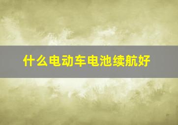 什么电动车电池续航好