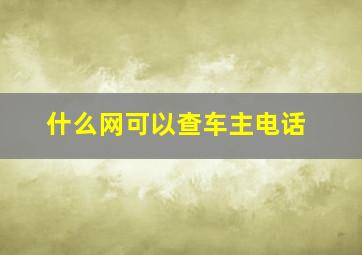 什么网可以查车主电话