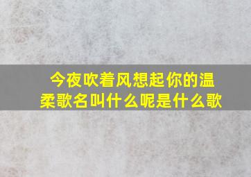 今夜吹着风想起你的温柔歌名叫什么呢是什么歌