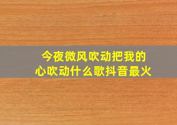 今夜微风吹动把我的心吹动什么歌抖音最火