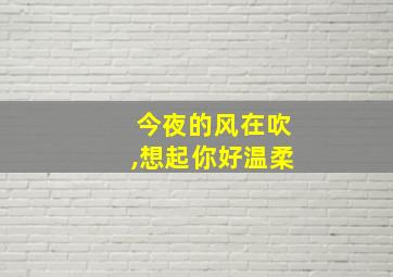 今夜的风在吹,想起你好温柔