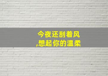 今夜还刮着风,想起你的温柔