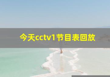 今天cctv1节目表回放