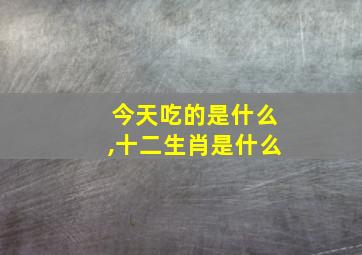 今天吃的是什么,十二生肖是什么