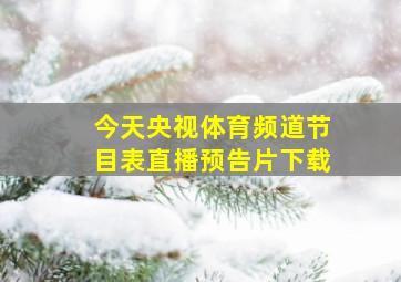 今天央视体育频道节目表直播预告片下载