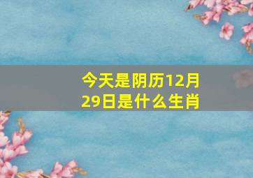 今天是阴历12月29日是什么生肖