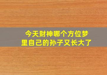 今天财神哪个方位梦里自己的孙子又长大了