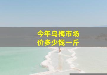 今年乌梅市场价多少钱一斤