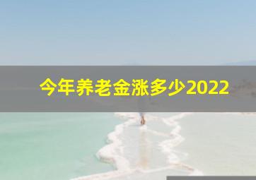 今年养老金涨多少2022