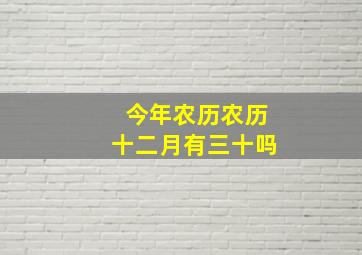 今年农历农历十二月有三十吗