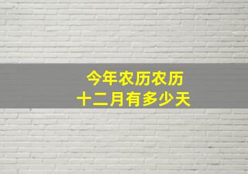 今年农历农历十二月有多少天