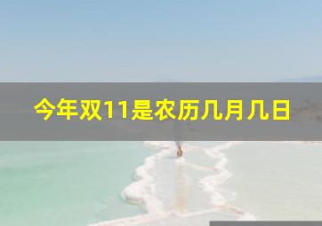 今年双11是农历几月几日