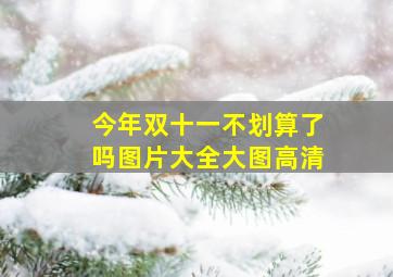 今年双十一不划算了吗图片大全大图高清