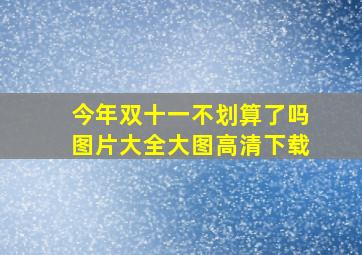 今年双十一不划算了吗图片大全大图高清下载