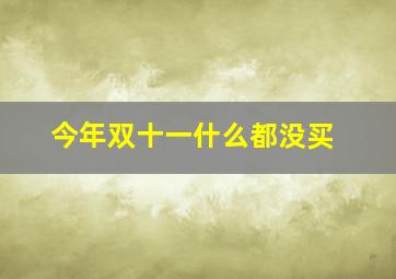 今年双十一什么都没买