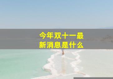 今年双十一最新消息是什么