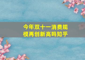 今年双十一消费规模再创新高吗知乎