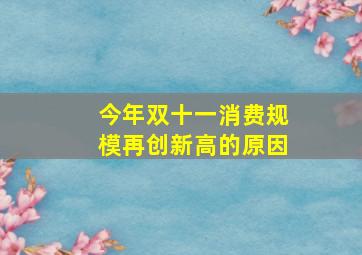 今年双十一消费规模再创新高的原因