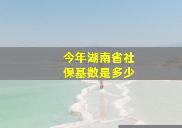 今年湖南省社保基数是多少