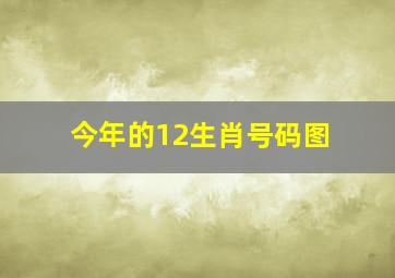 今年的12生肖号码图