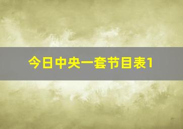 今日中央一套节目表1