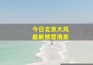 今日北京大风最新预警消息