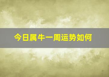 今日属牛一周运势如何