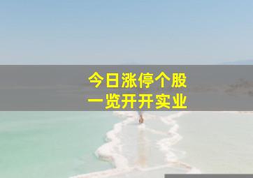 今日涨停个股一览开开实业