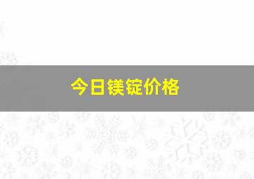 今日镁锭价格