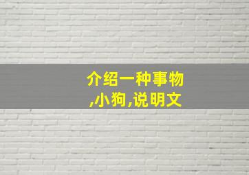 介绍一种事物,小狗,说明文