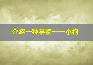 介绍一种事物――小狗