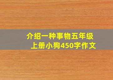 介绍一种事物五年级上册小狗450字作文