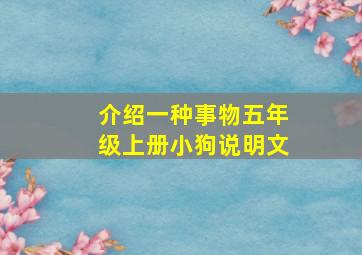 介绍一种事物五年级上册小狗说明文