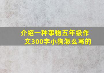 介绍一种事物五年级作文300字小狗怎么写的